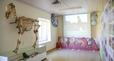 Музей лошади в Аникщяй