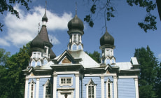 Церковь «Всех скорбящих Радость» в Друскининкай