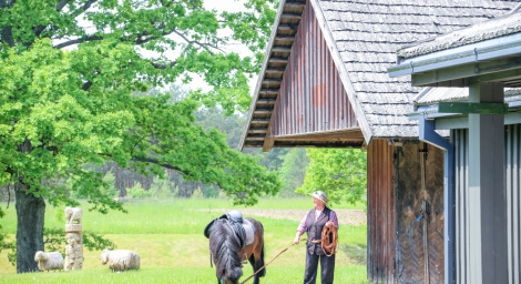 Музей лошади в Аникщяй